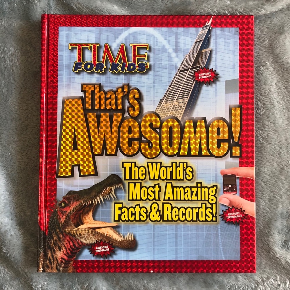 Cool Children’s Book - EUC